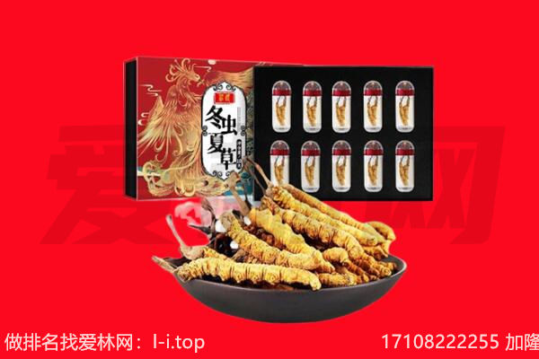 昆明市安宁回收虫草.jpg